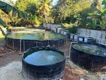 Finca en Juan Dolio, Juan Dolio de 3000 mts² - Imagen 5