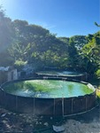 Finca en Juan Dolio, Juan Dolio de 3000 mts² - Imagen 6