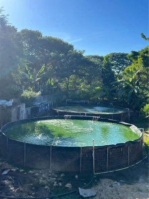 Finca en Juan Dolio, Juan Dolio de 3000 mts² - Imagen 7