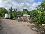 Finca en Juan Dolio, Juan Dolio de 3000 mts² - Imagen 8