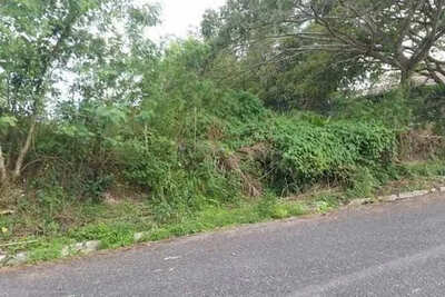 Imagen de Terreno