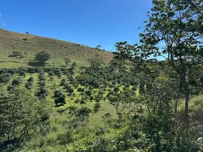 Imagen de Finca