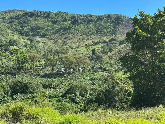 Finca en Buena Vista, Barahona de 69625 mts² con mantenimiento incluido - Imagen 2