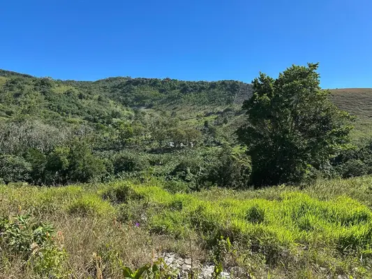 Finca en Buena Vista, Barahona de 69625 mts² con mantenimiento incluido - Imagen 3