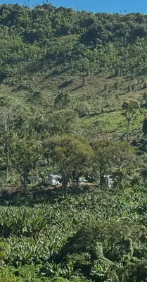 Finca en Buena Vista, Barahona de 69625 mts² con mantenimiento incluido - Imagen 5