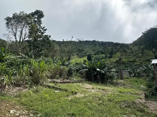 Finca en Buena Vista, Barahona de 69625 mts² con mantenimiento incluido - Imagen 7